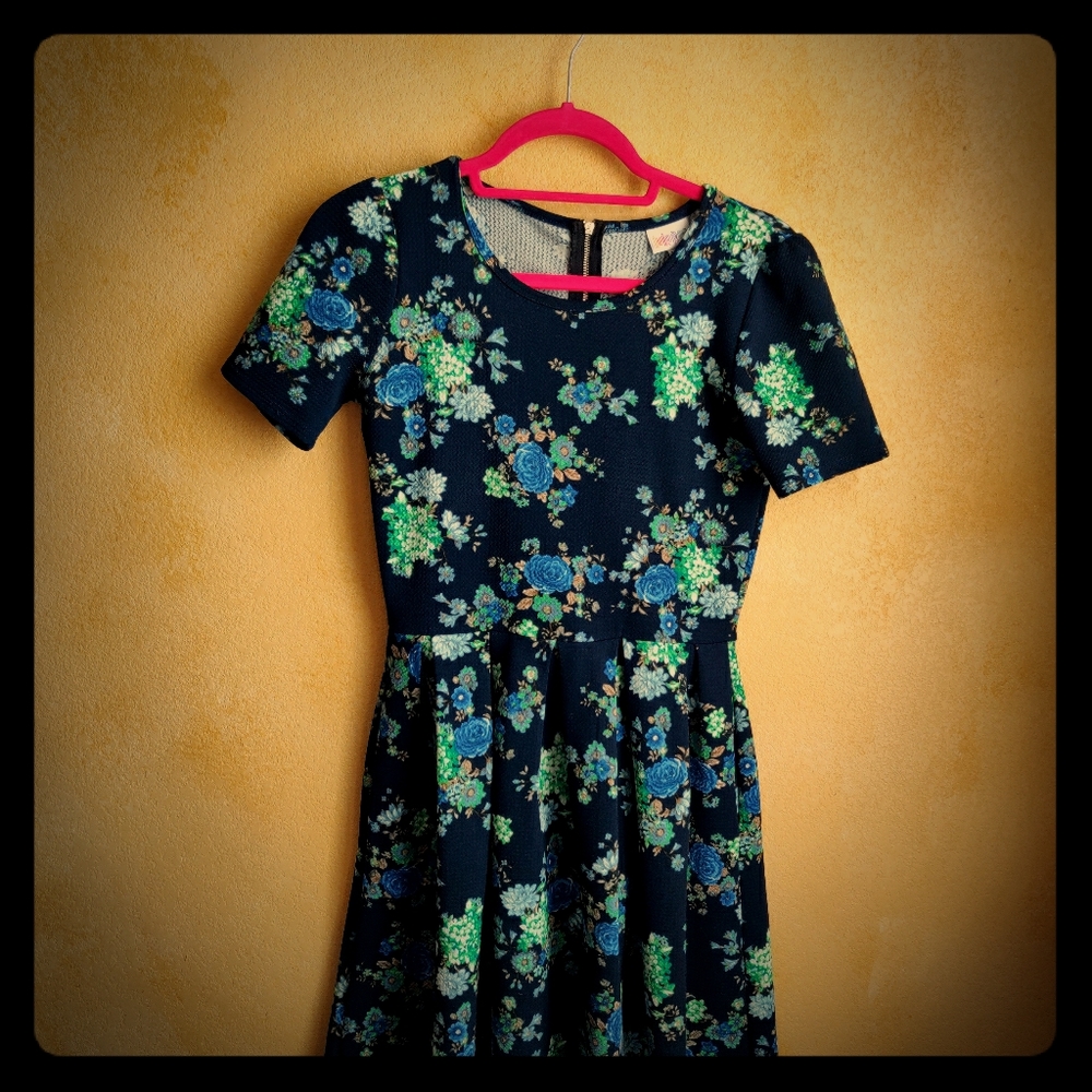 LuLaRoe Amelia dress